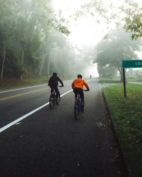 Avocat pour représentation suite à un accident pour cyclistes à Lyon